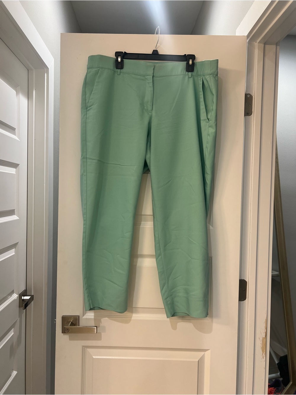 Lane Bryant The Modernist Collection Women’s Size 20 Mint Green Ankle Pants